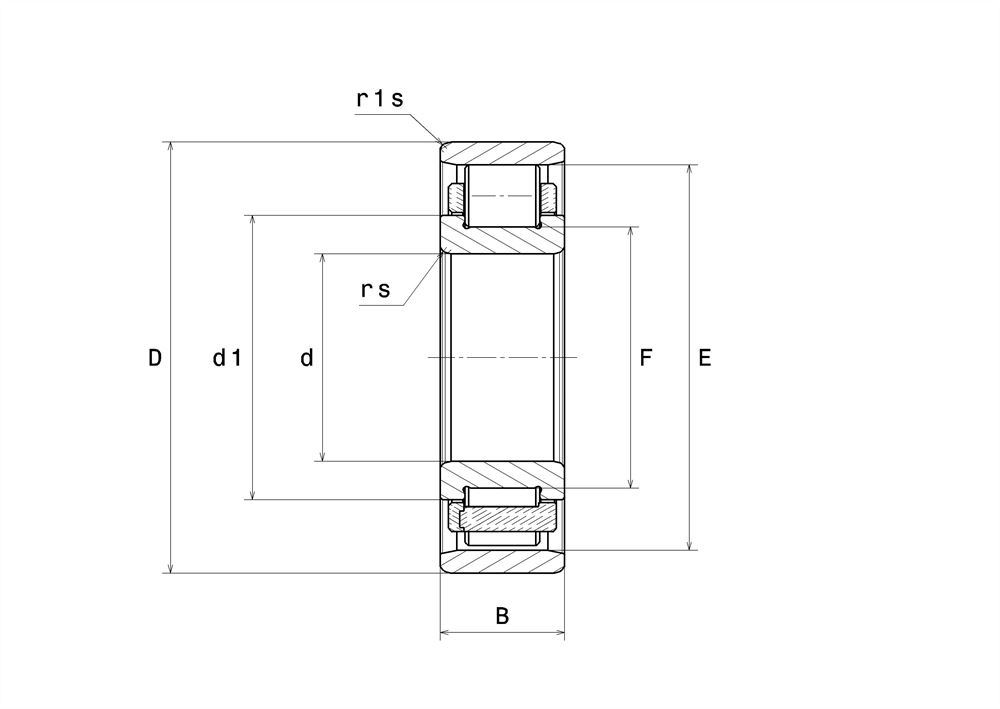 N313ECM SKF