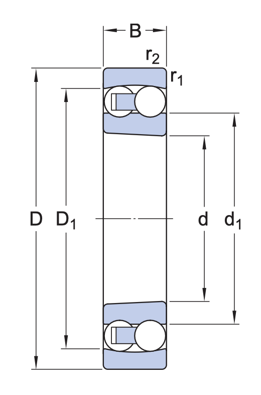 1210EKTN9 SKF