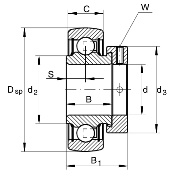 RAE25NPPB PFI