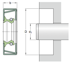 CR25102 SKF