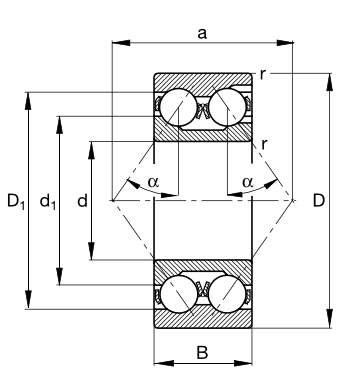 3219A SKF