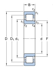 NJ2216ECJ SKF