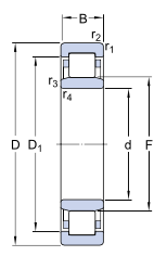 NU1006 SKF