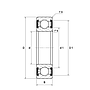 6205-2RSLTN9/C3VT162 SKF