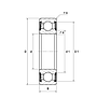 6005-2RSLTN9/C3VT162 SKF