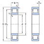 NU215ECP SKF