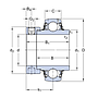 YEL207-2F/AG SKF